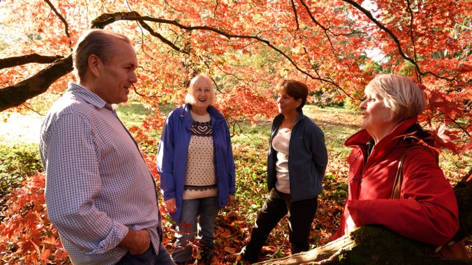 A group standing beneath autumn trees